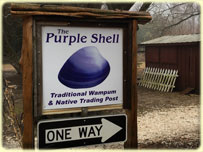 Purple Shell